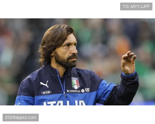 克罗斯与皮尔洛在体系分配中的组织重心分化机制