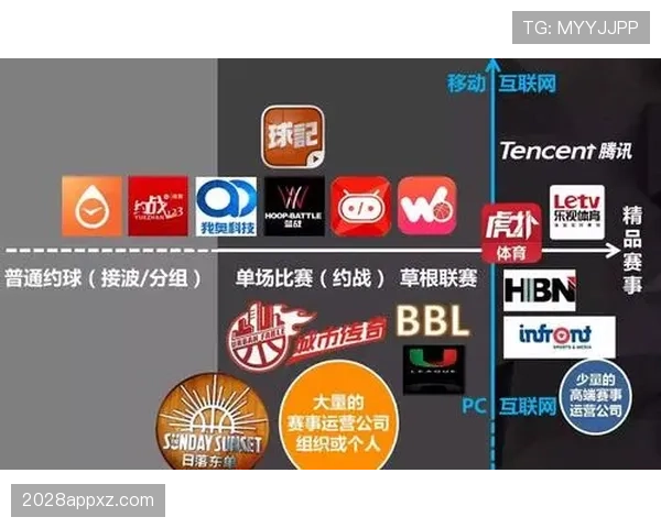 深度解析篮球判罚取消规则的具体执行条件
